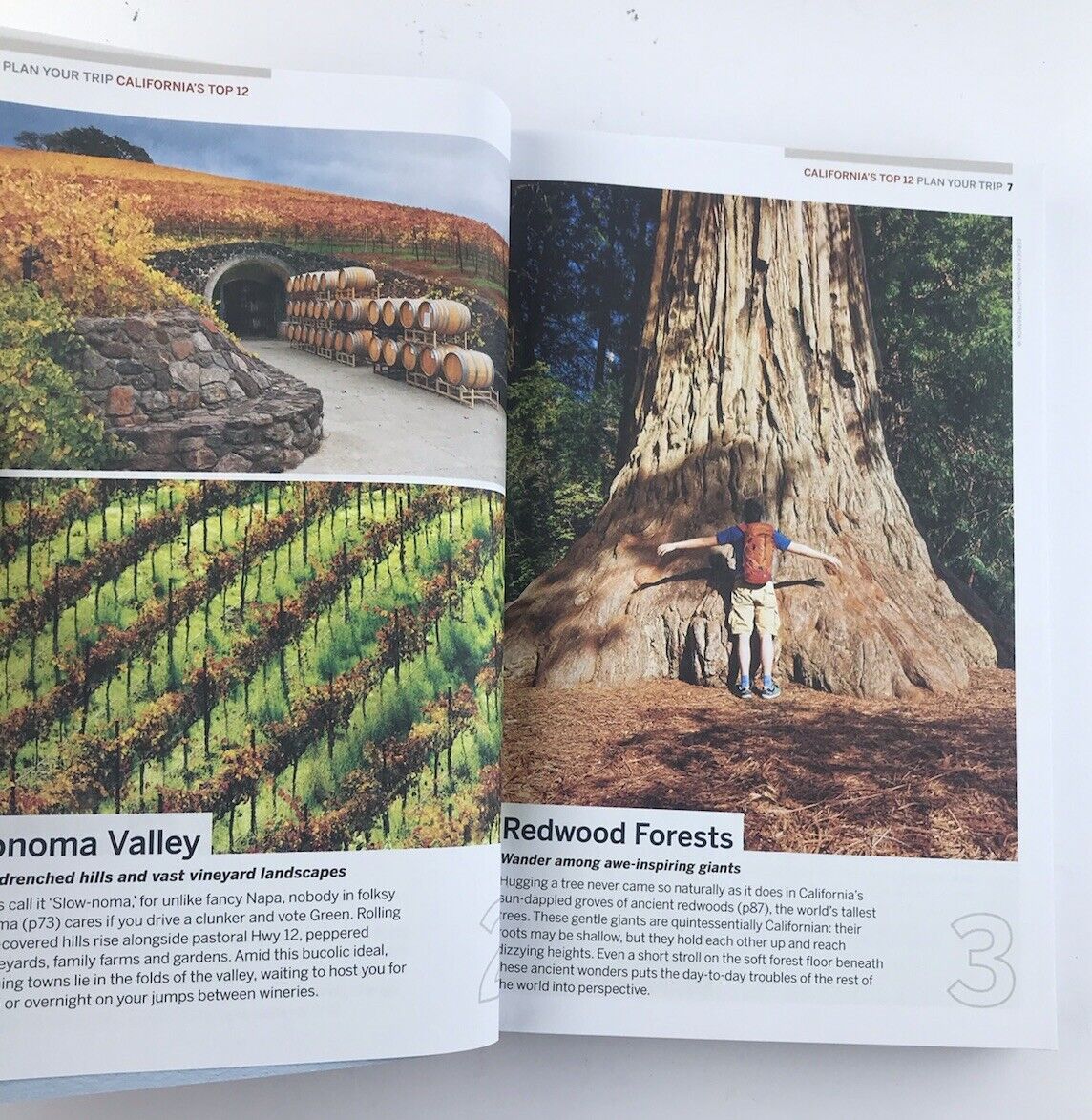 Lonely Planet Best of California: Top Sights, Authentic Experiences Travel Guide