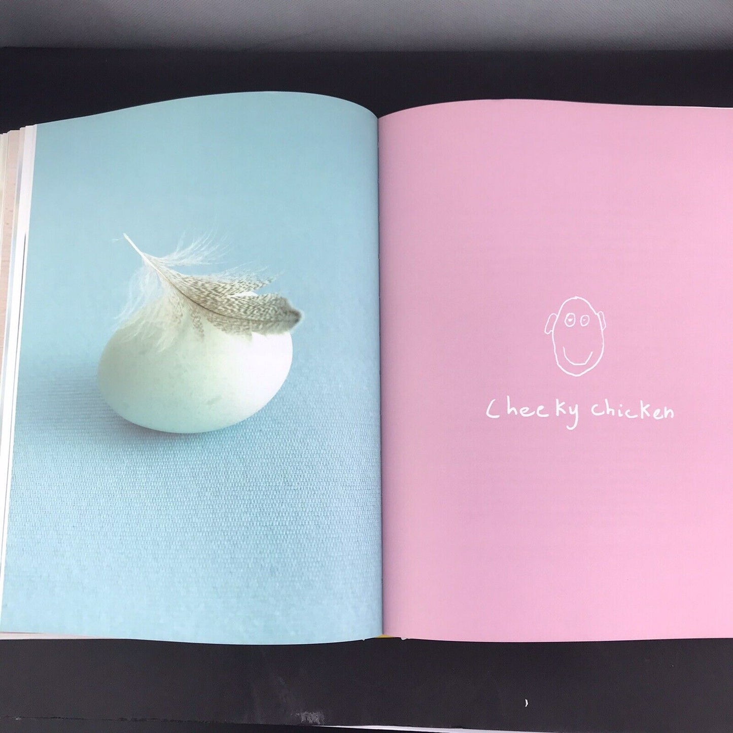 the fussy eaters’ recipe book by Annabel Karmel 120 Fast Tasty Healthy Recipes