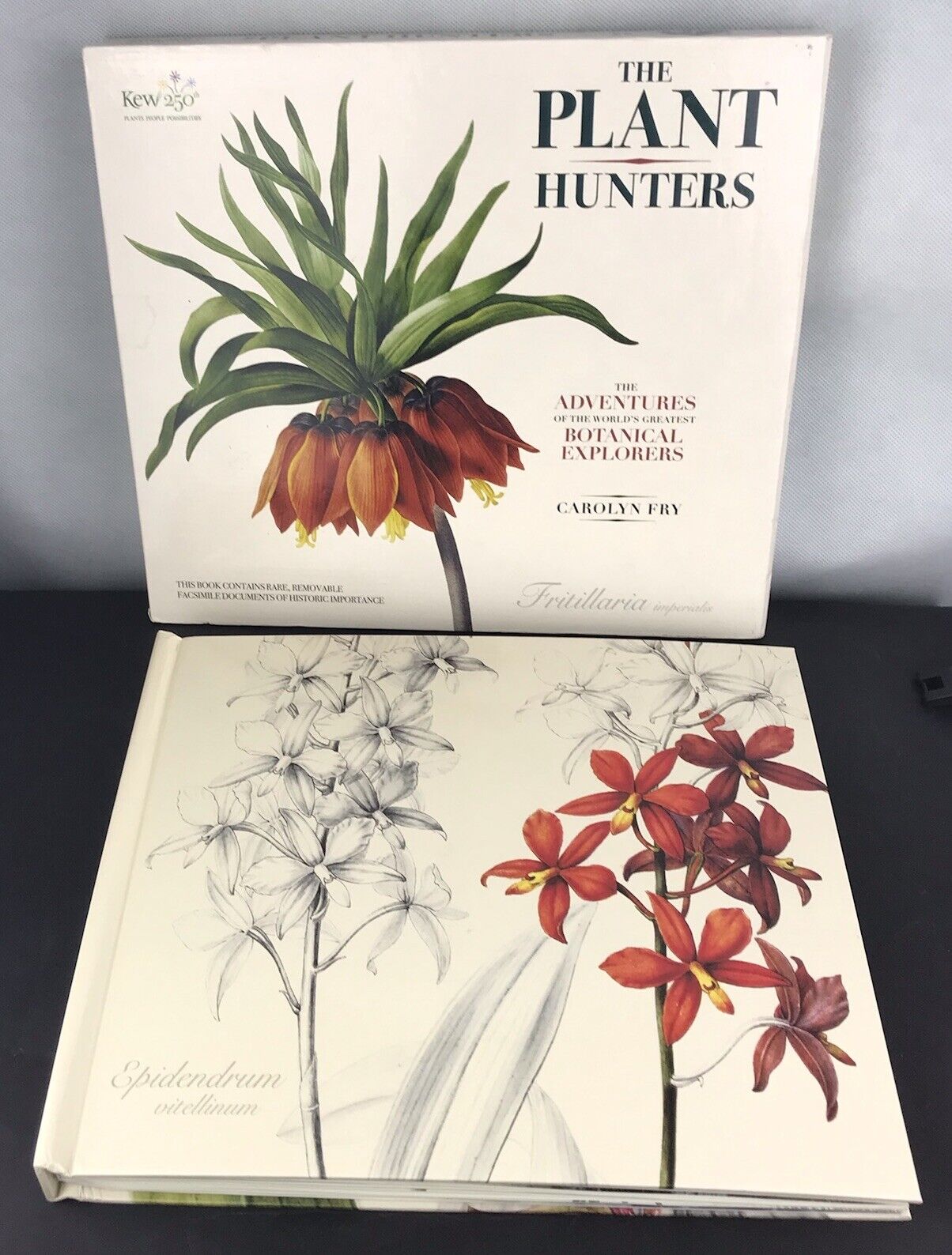 The Plant Hunters: The Adventures of the World's Greatest Botanical Explorers
