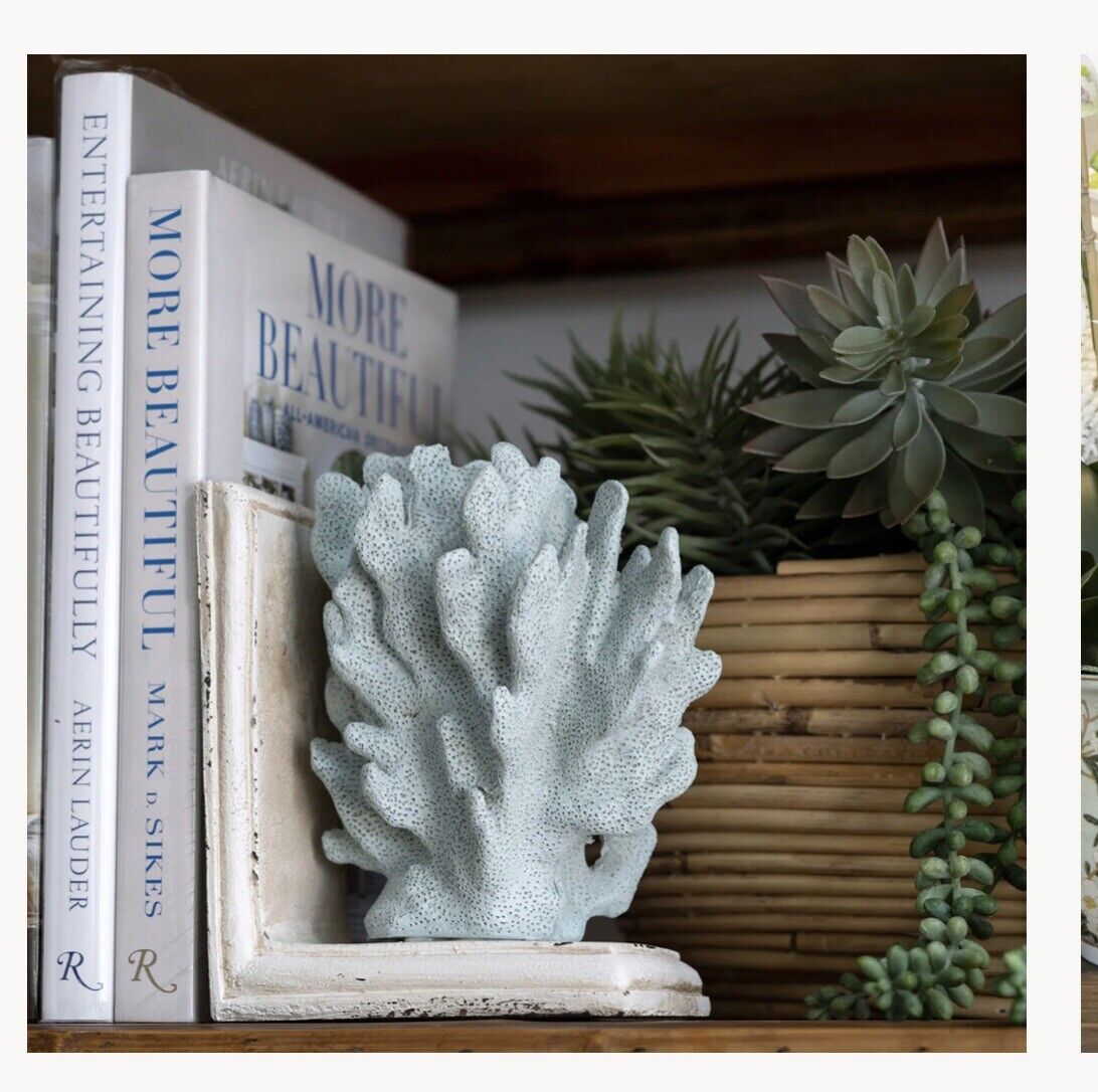 Aqua Coral Bookends