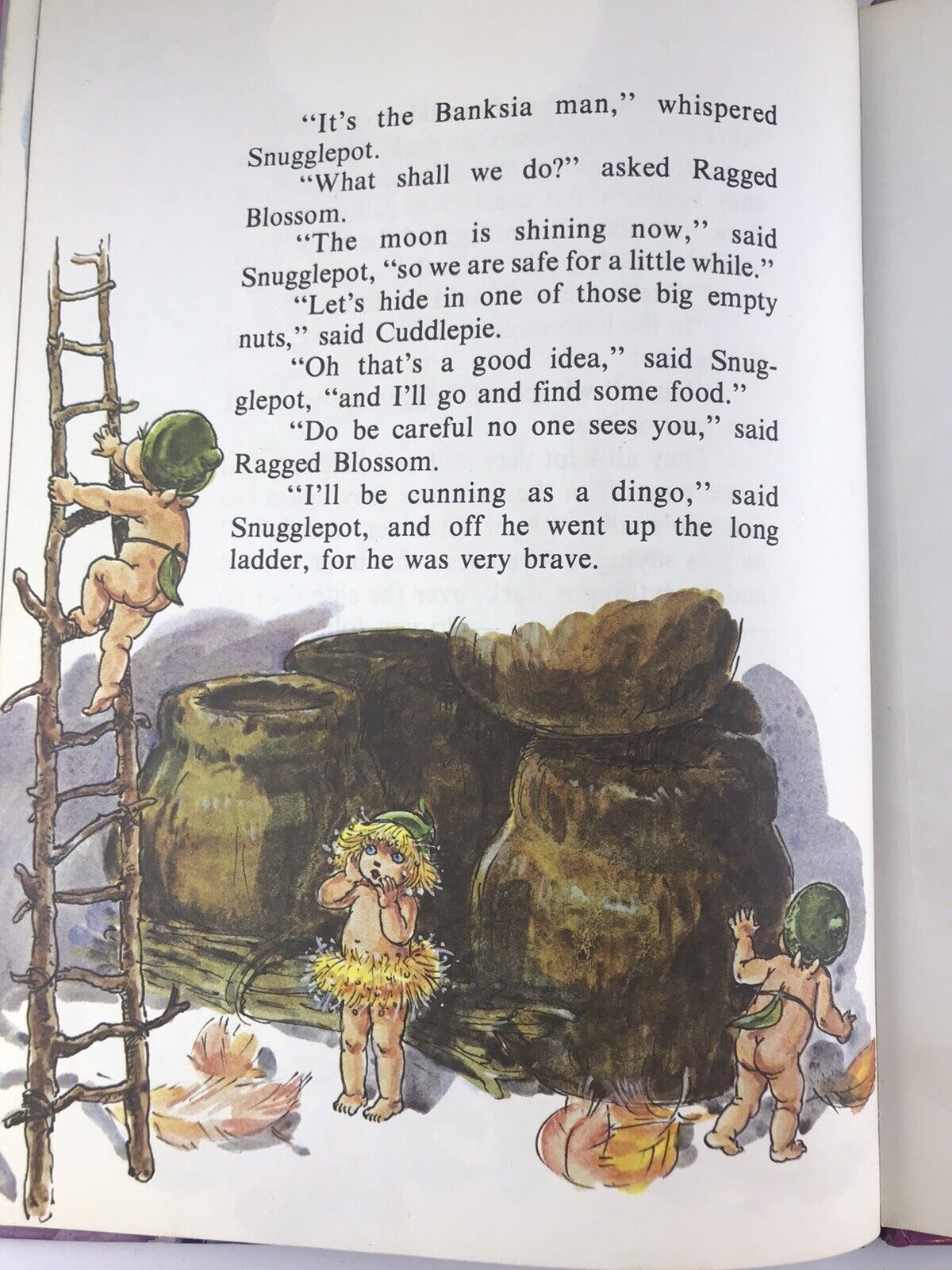 Snugglepot & Cuddlepie On Board the Snag. May Gibbs. HC, 1988. Perfect condition