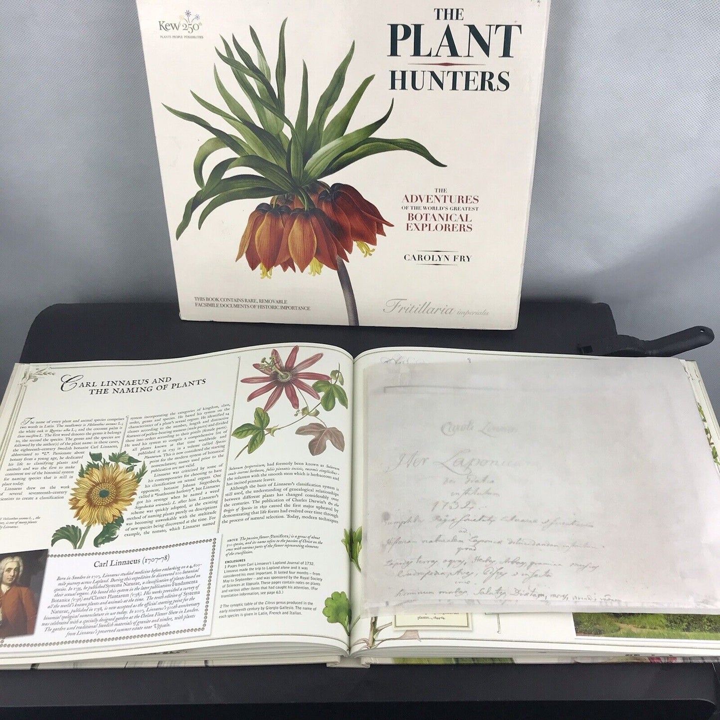 The Plant Hunters: The Adventures of the World's Greatest Botanical Explorers