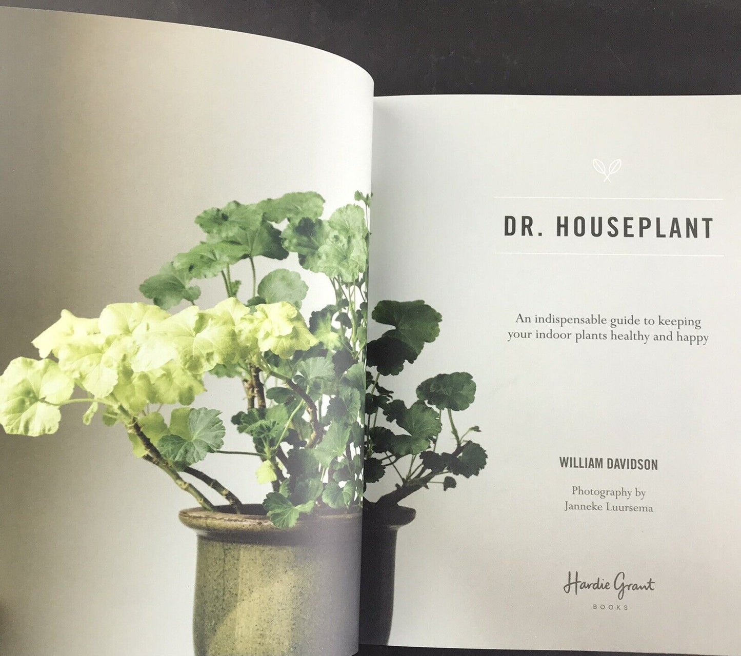Dr. Houseplant by William Davidson (Hardcover 2020) SAVE Your House Plants!