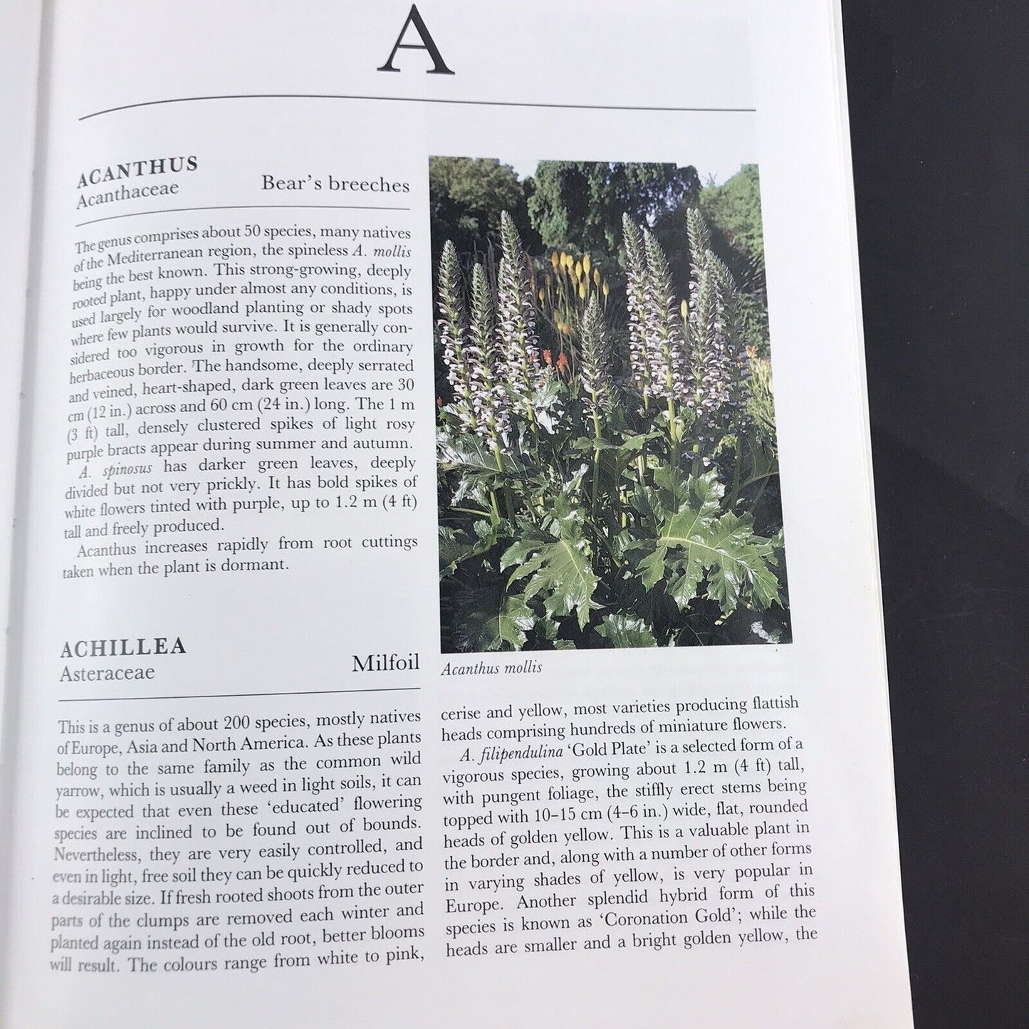 An Illustrated Handbook of Bulbs & Perennials by Hugh Redgrove H/C JK12