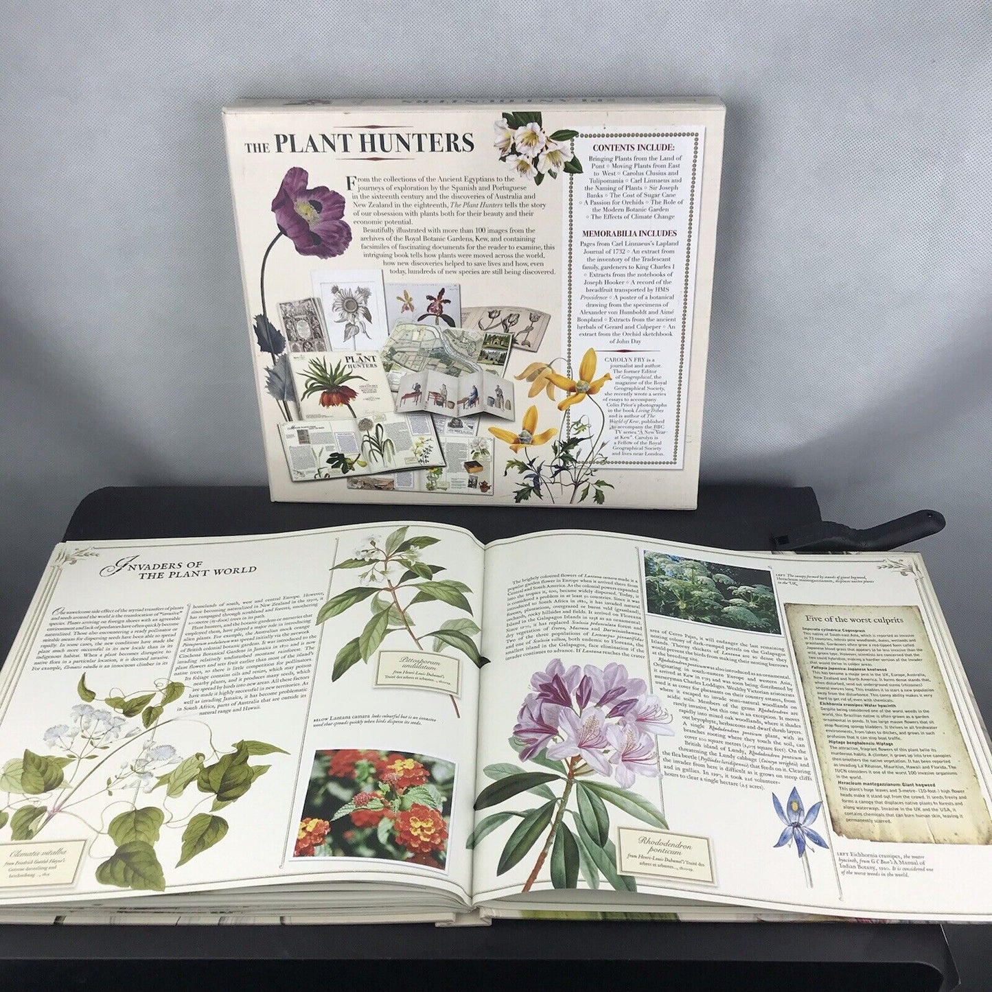 The Plant Hunters: The Adventures of the World's Greatest Botanical Explorers