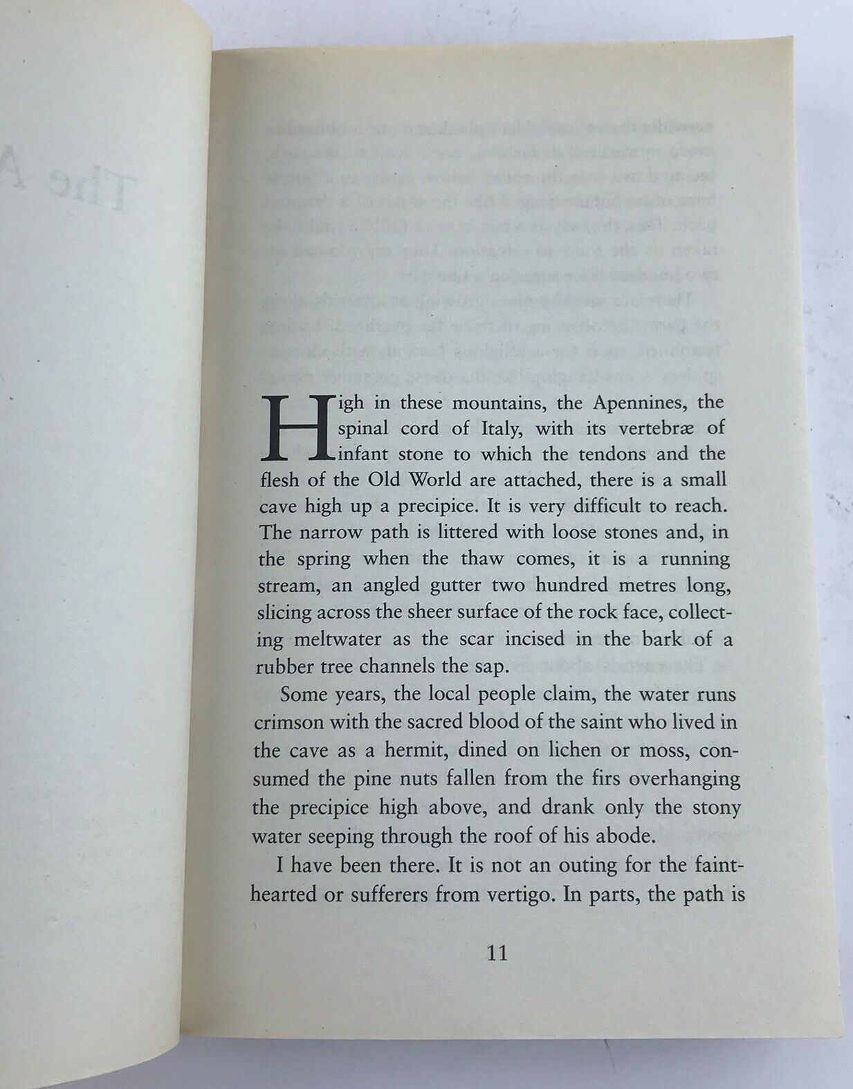 The American by Martin Booth (Paperback 2010)