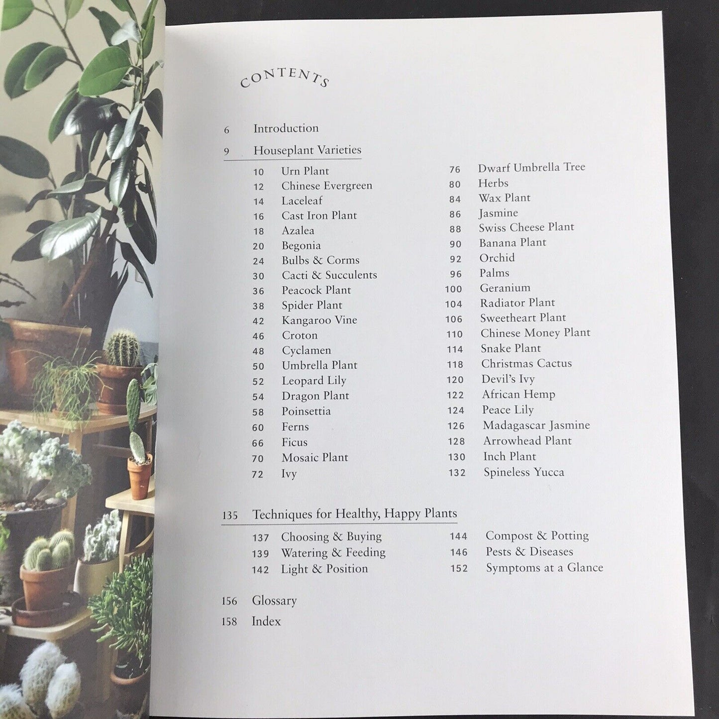 Dr. Houseplant by William Davidson (Hardcover 2020) SAVE Your House Plants!