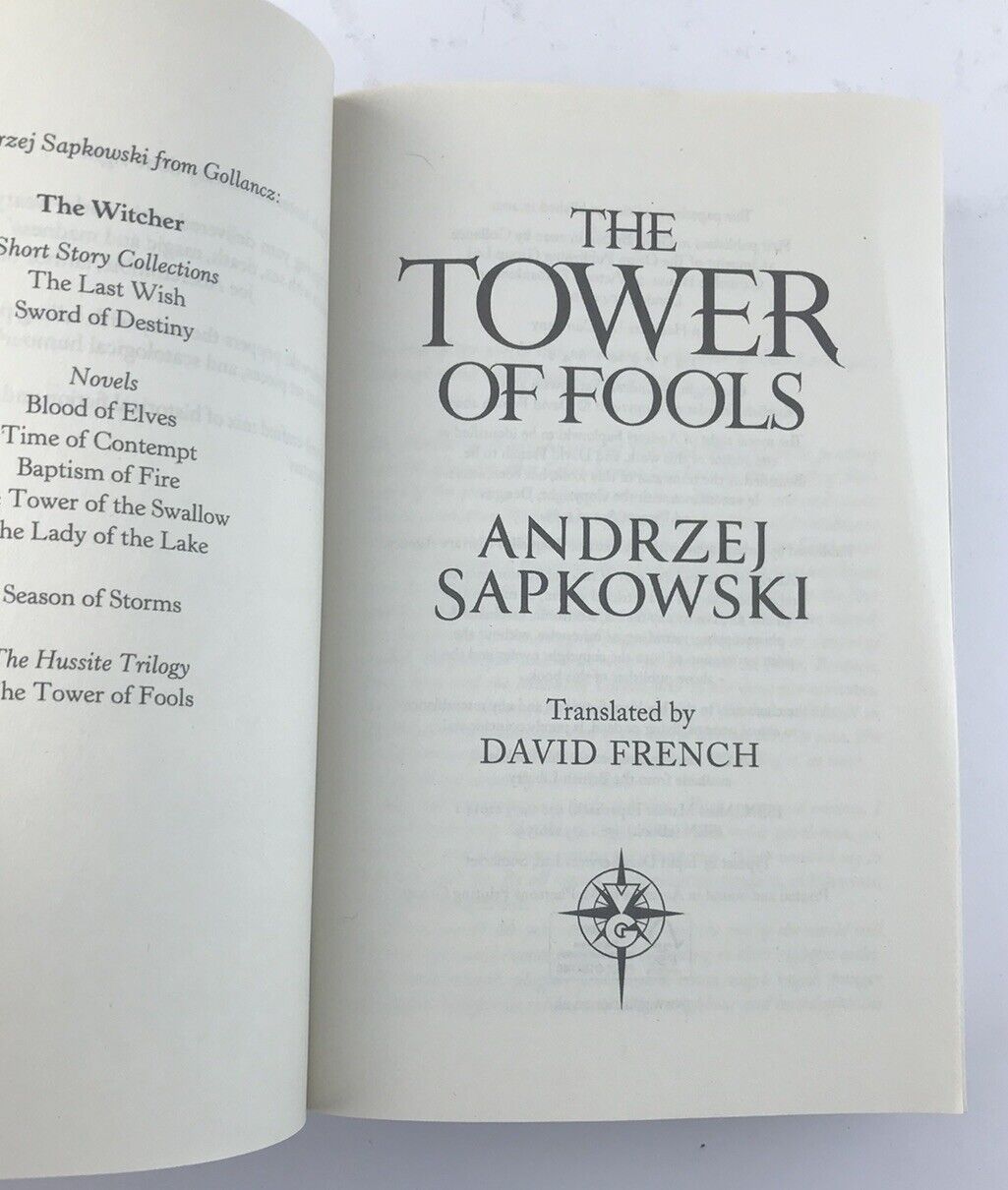 The Tower of Fools by Andrzej Sapkowski (Paperback, 2021)