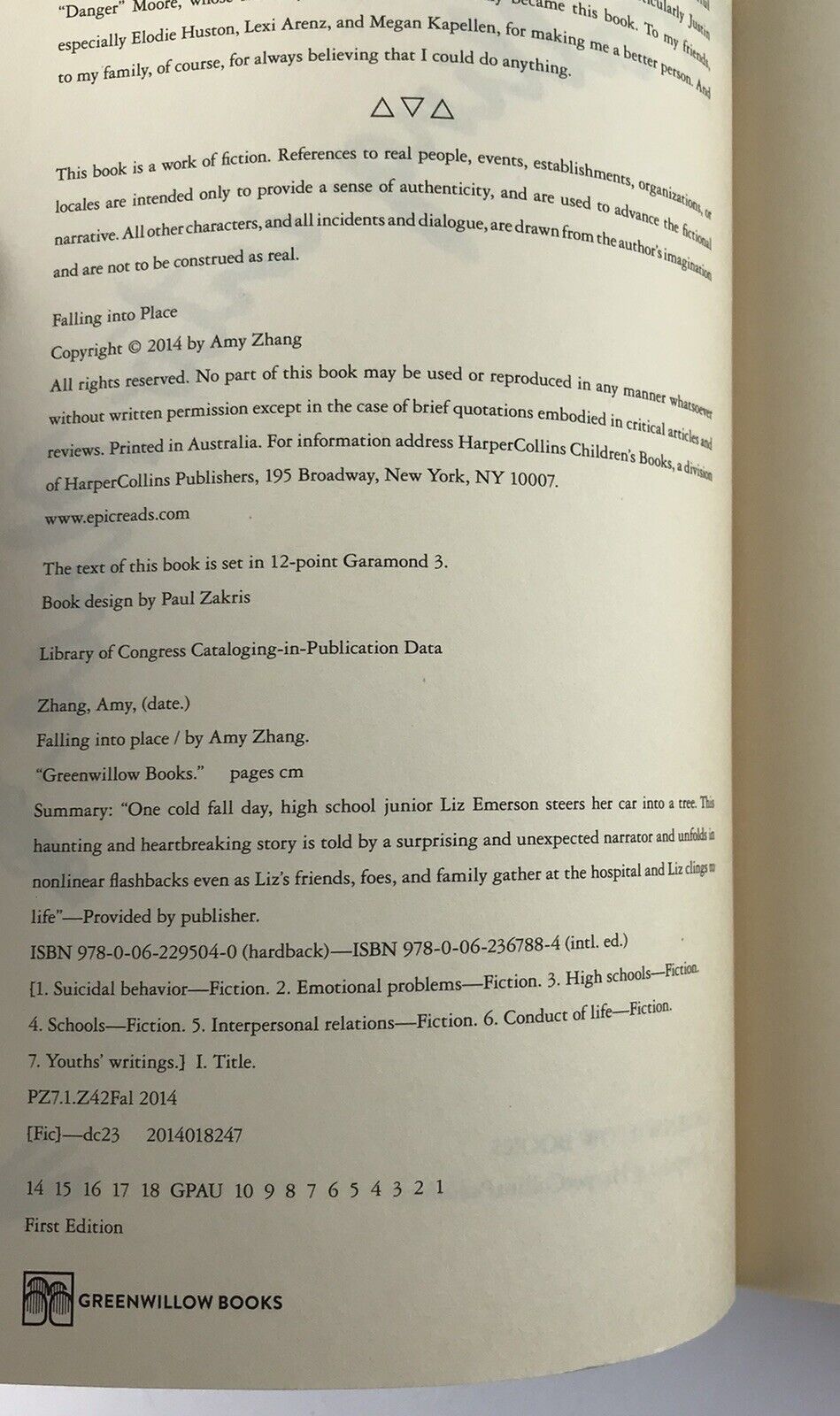 Falling into Place by Amy Zhang (Paperback 2014)