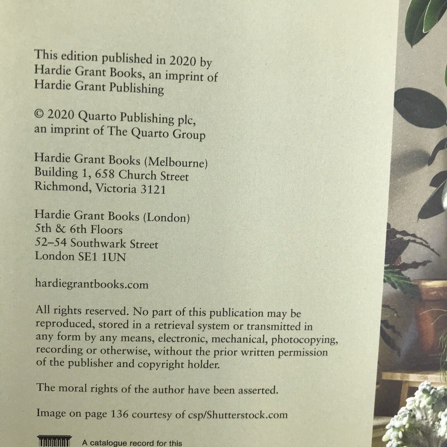 Dr. Houseplant by William Davidson (Hardcover 2020) SAVE Your House Plants!