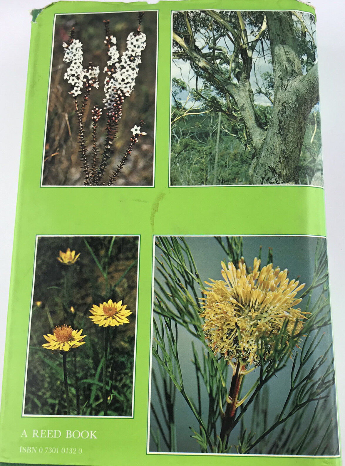 Flora of the Sydney Region By N.C.W BEADLE, O.D. EVANS, R. C. CAROLINE 1986 Book