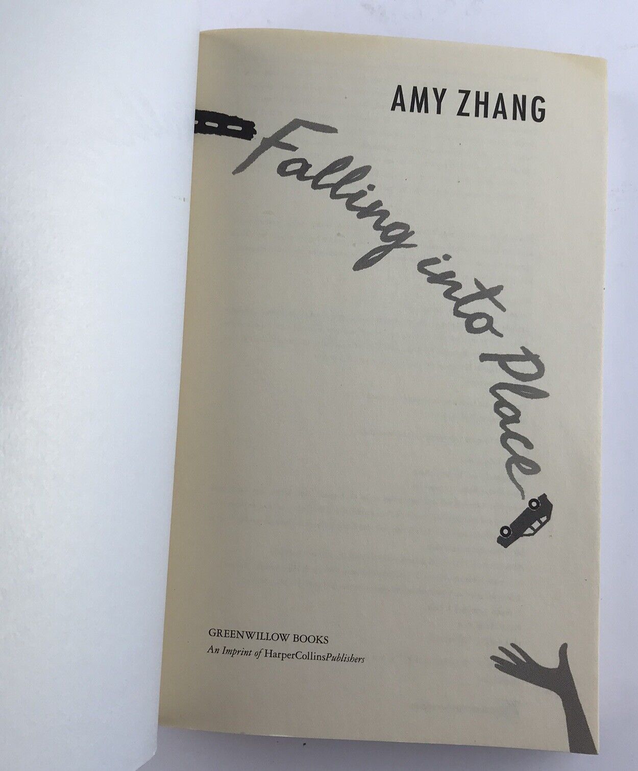 Falling into Place by Amy Zhang (Paperback 2014)