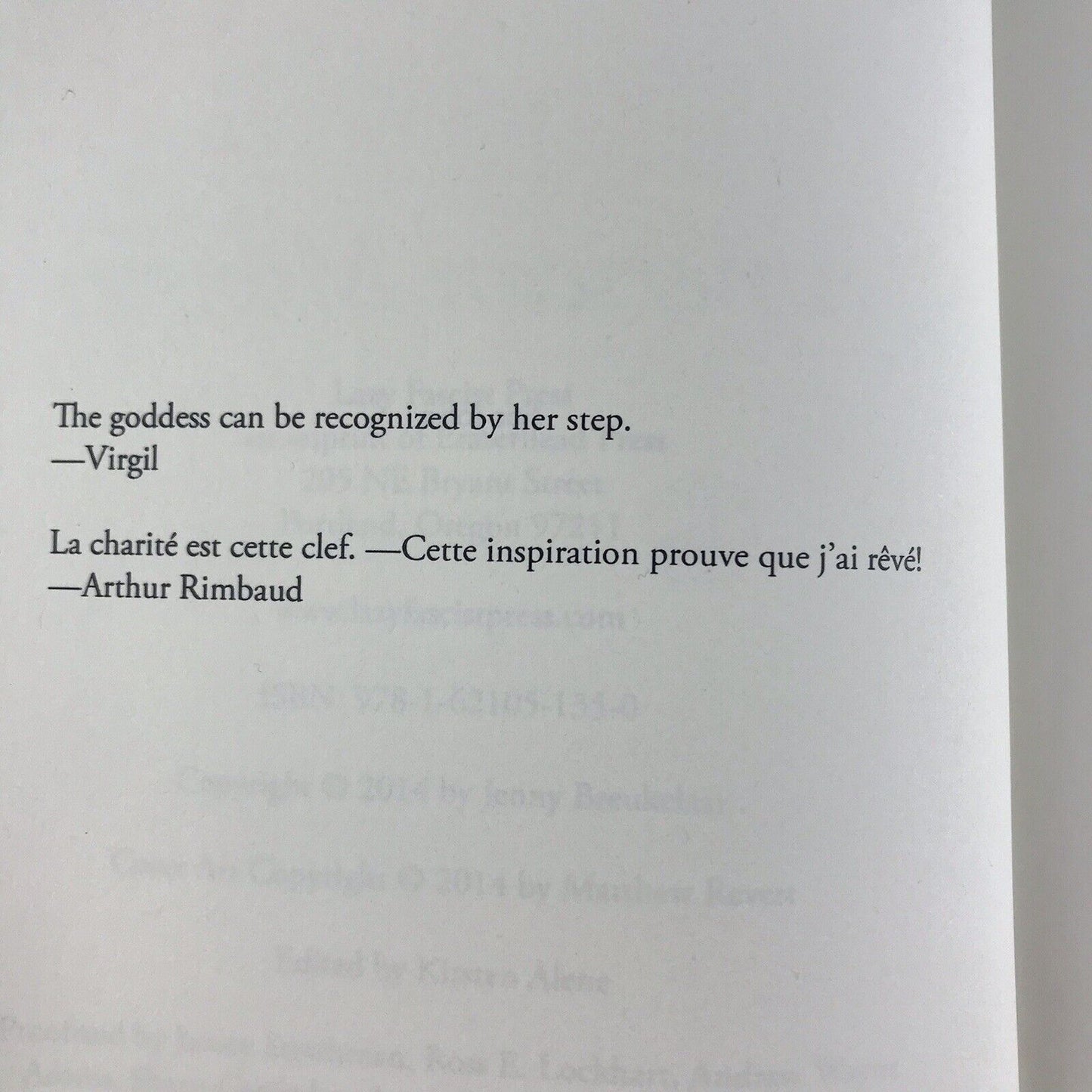 American Monster by J.S Breukelaar 9781621051350 (Paperback 2014) Dystopian Fict