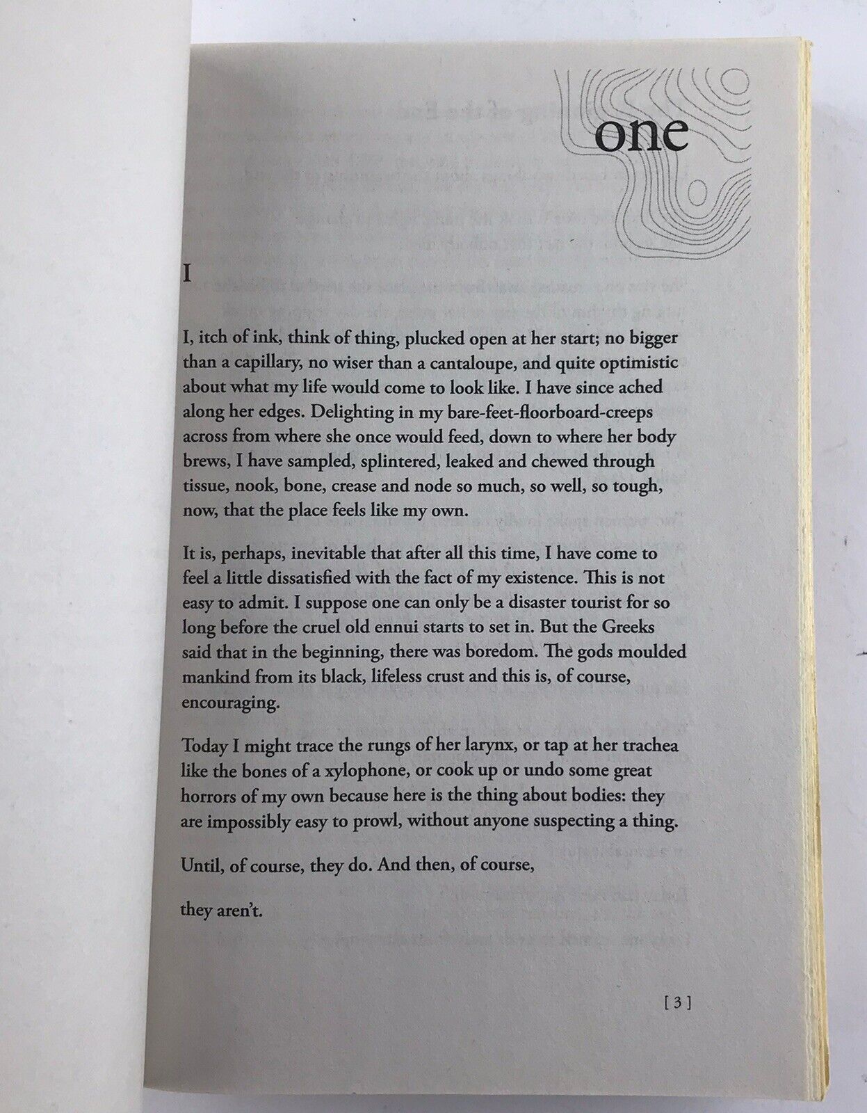 Maps of Our Spectacular Bodies (A Novel) by Maddie Mortimer (Paperback 2022)