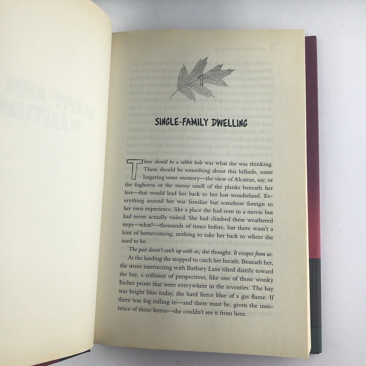 Mary Ann in Autumn: A Tales of the City Novel by Armistead Maupin (Hardcover)