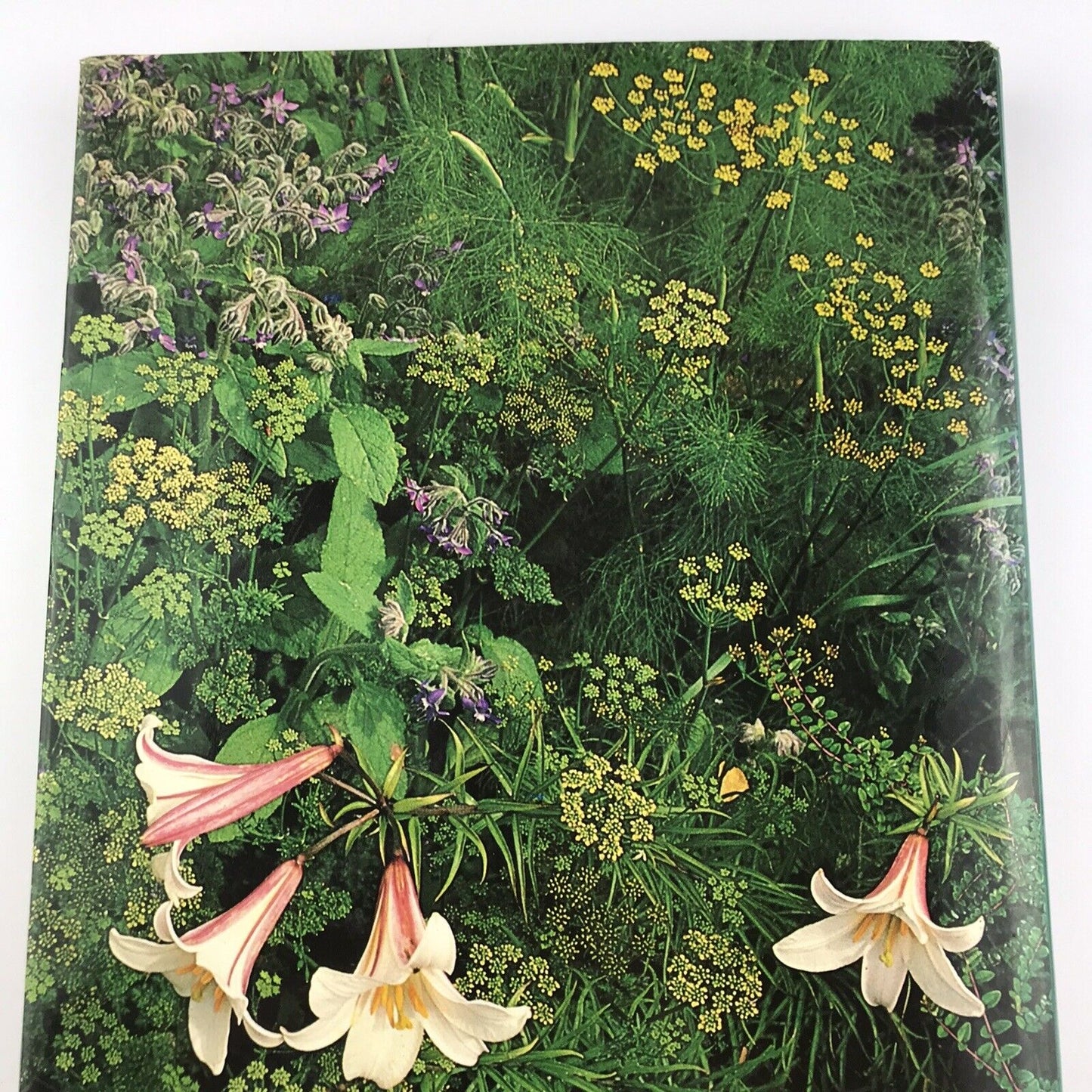 The Well-Chosen Garden By Christopher Lloyd (Hardcover 1984)