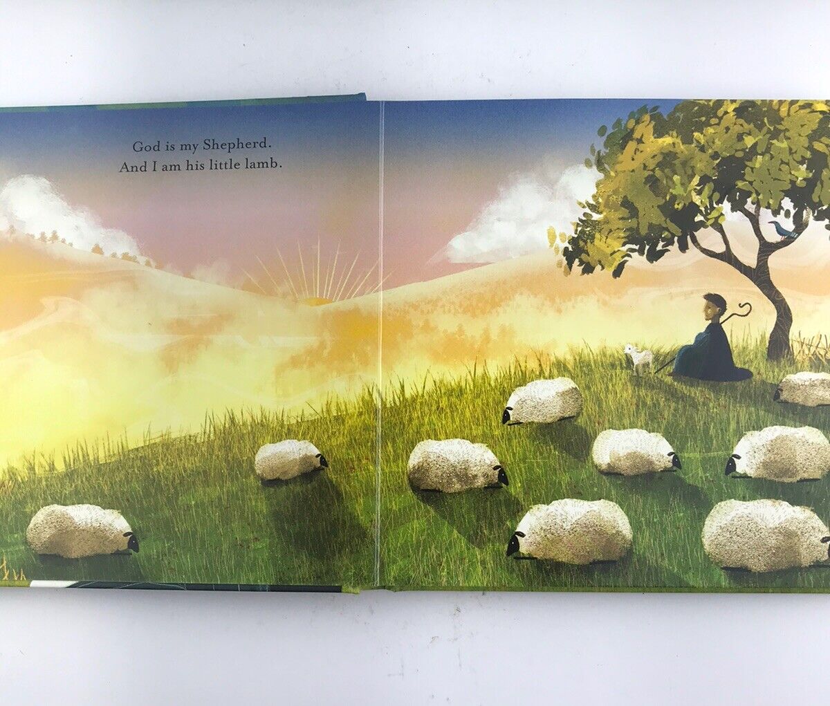 Found: Psalm 23 [Jesus Storybook Bible] by Sally Lloyd-Jones Board_Book