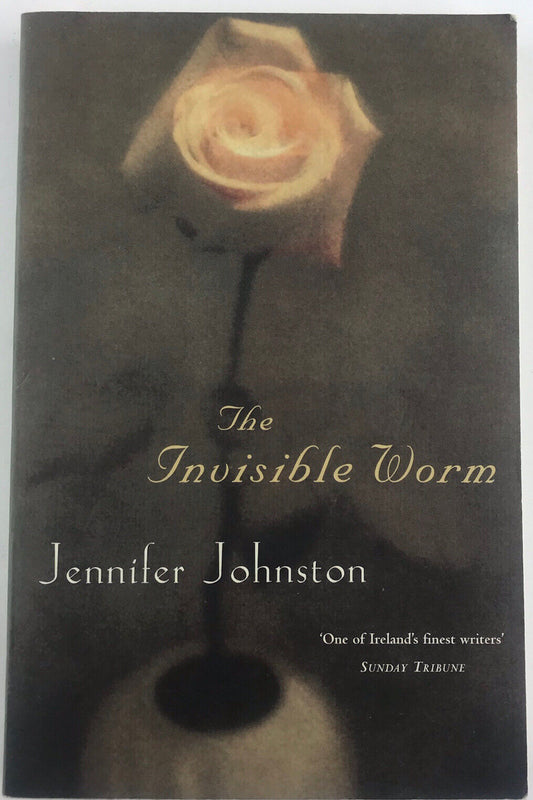 The Invisible Worm By Jennifer Johnston Irish Written, Paperback 1999