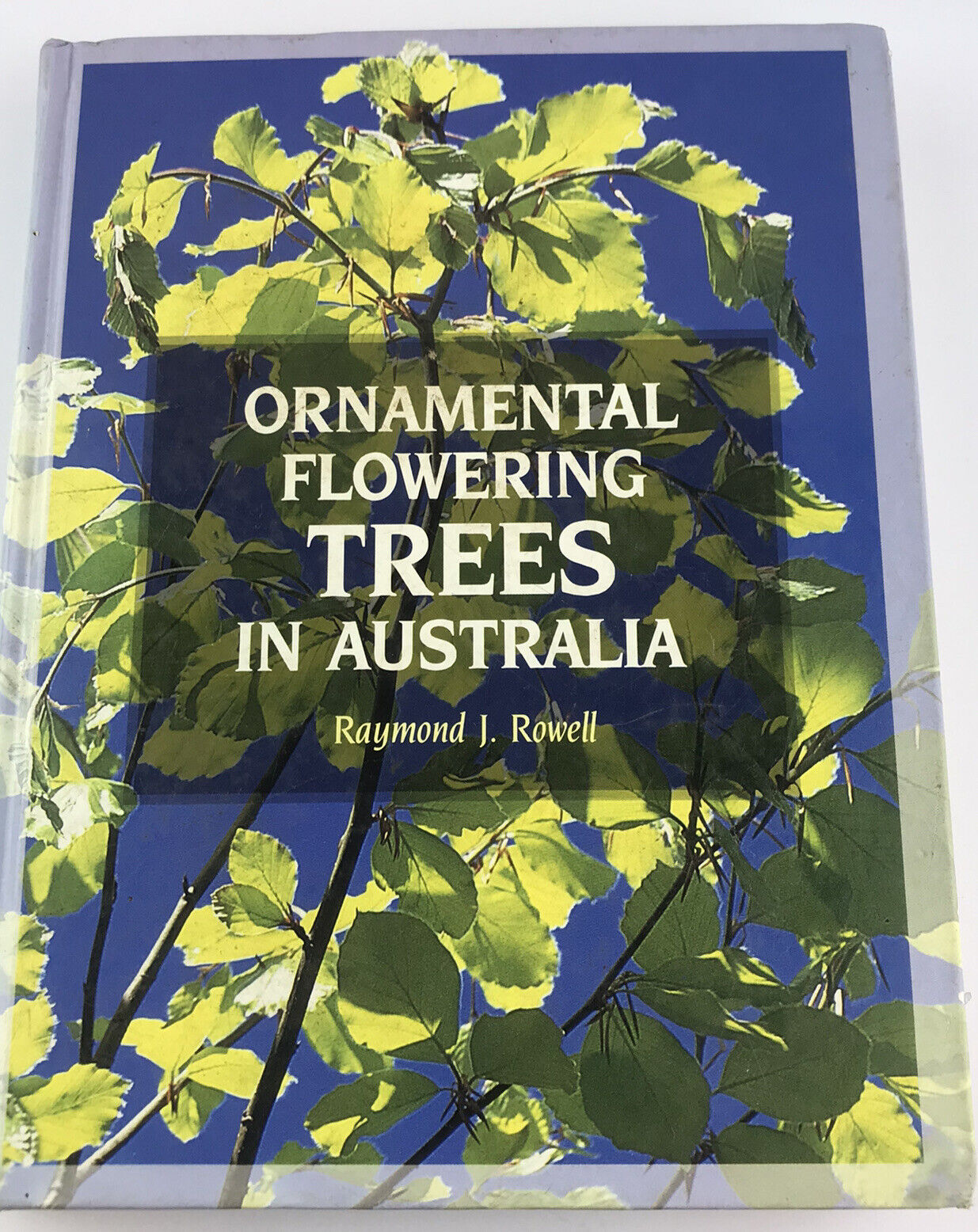 Ornamental Flowering Trees in Australia by Raymond J. Rowell (Paperback, 1991)