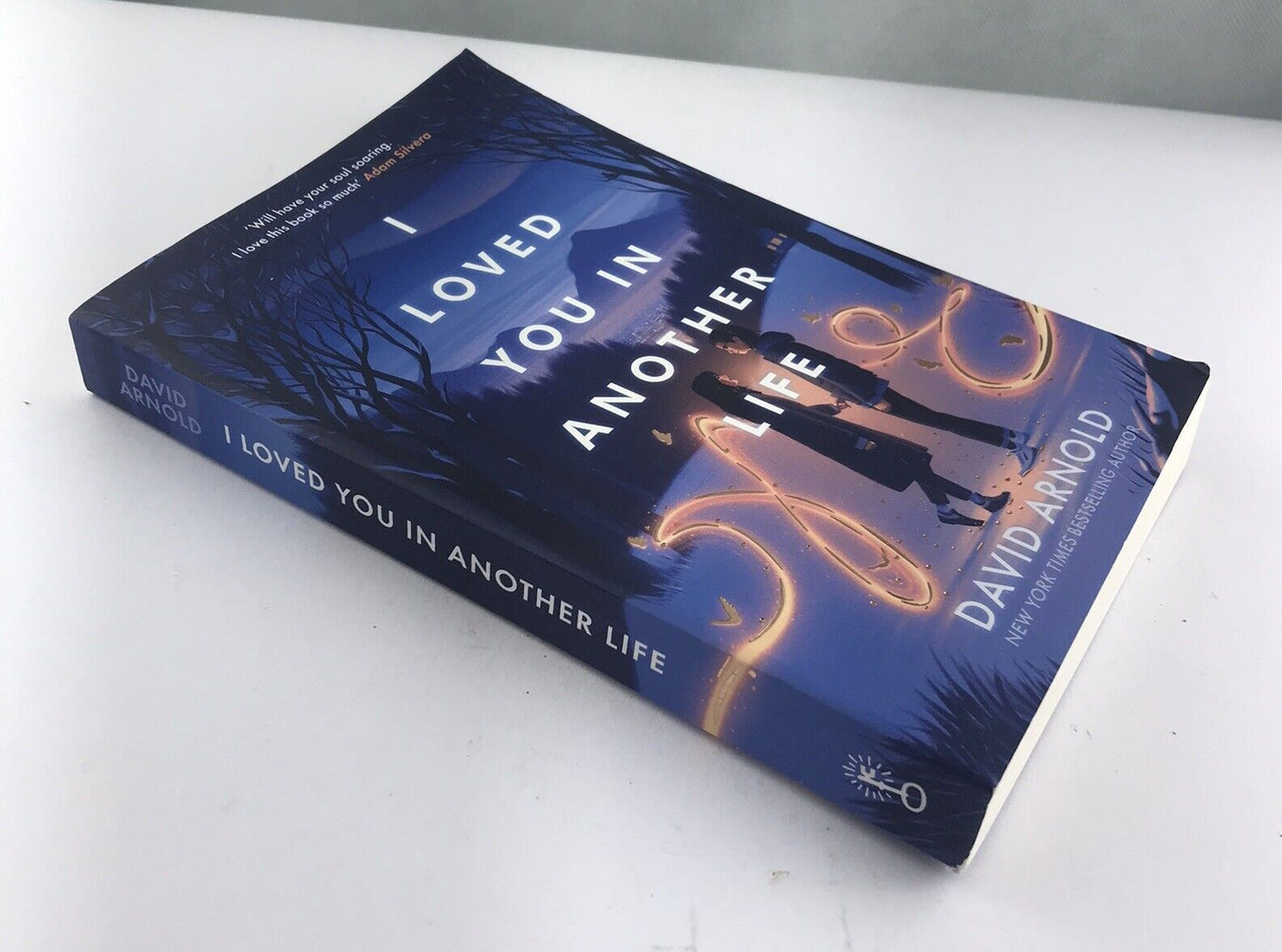 I Loved You In Another Life by David Arnold (Paperback 2023)