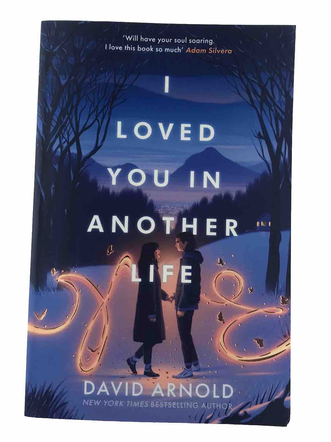 I Loved You In Another Life by David Arnold (Paperback 2023)