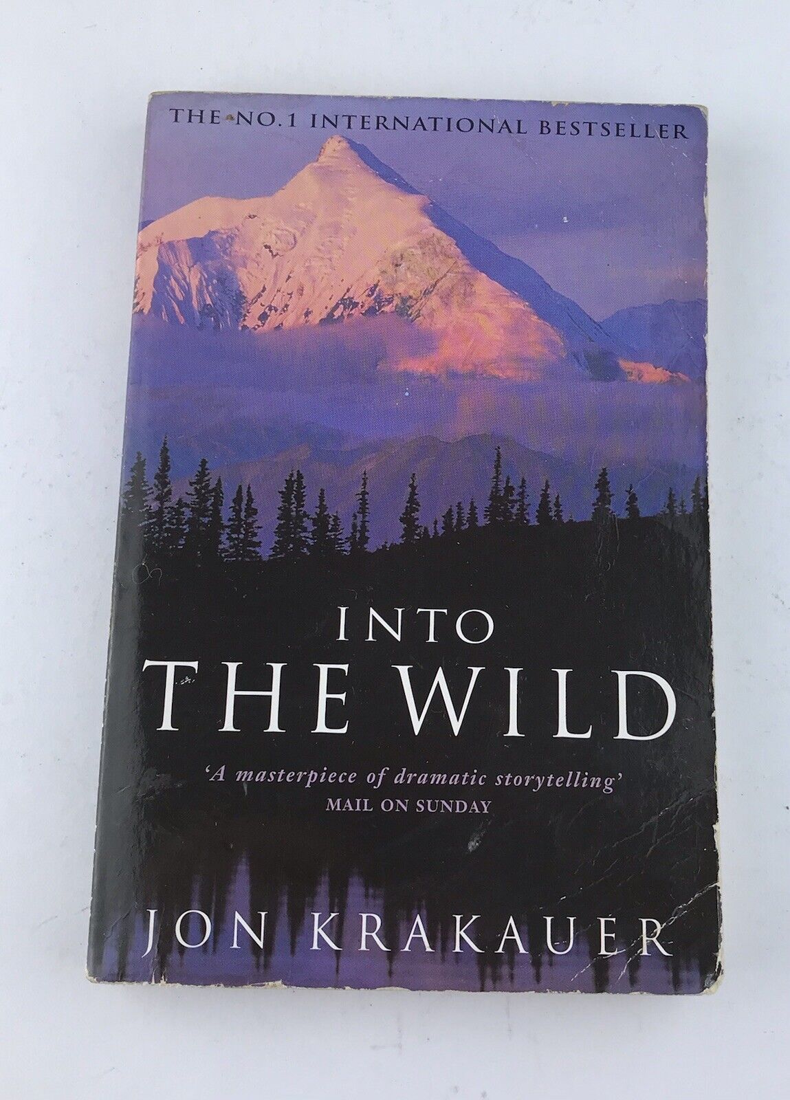 Into the Wild by  Jon Krakauer (Illustrated Paperback 1998)