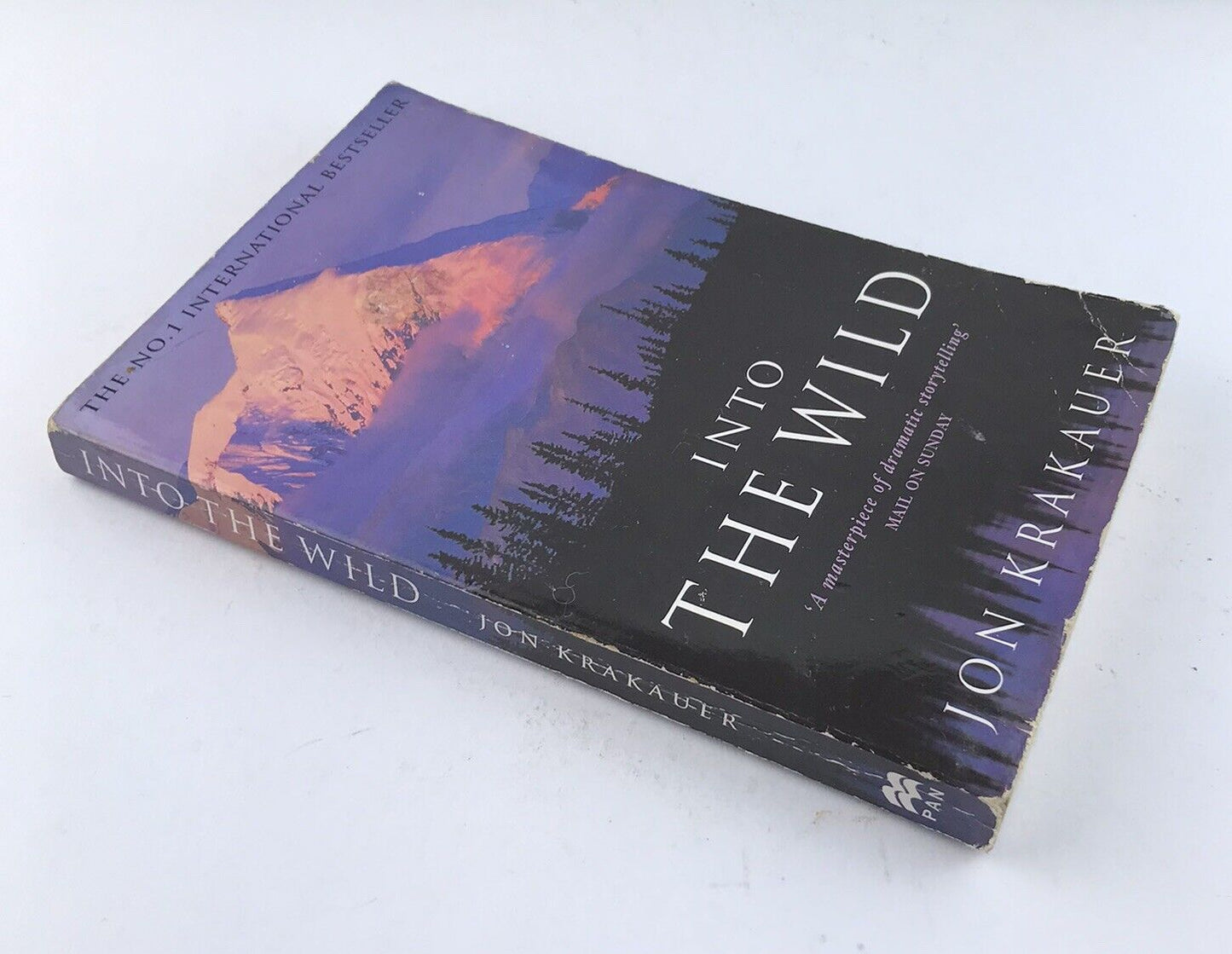 Into the Wild by  Jon Krakauer (Illustrated Paperback 1998)