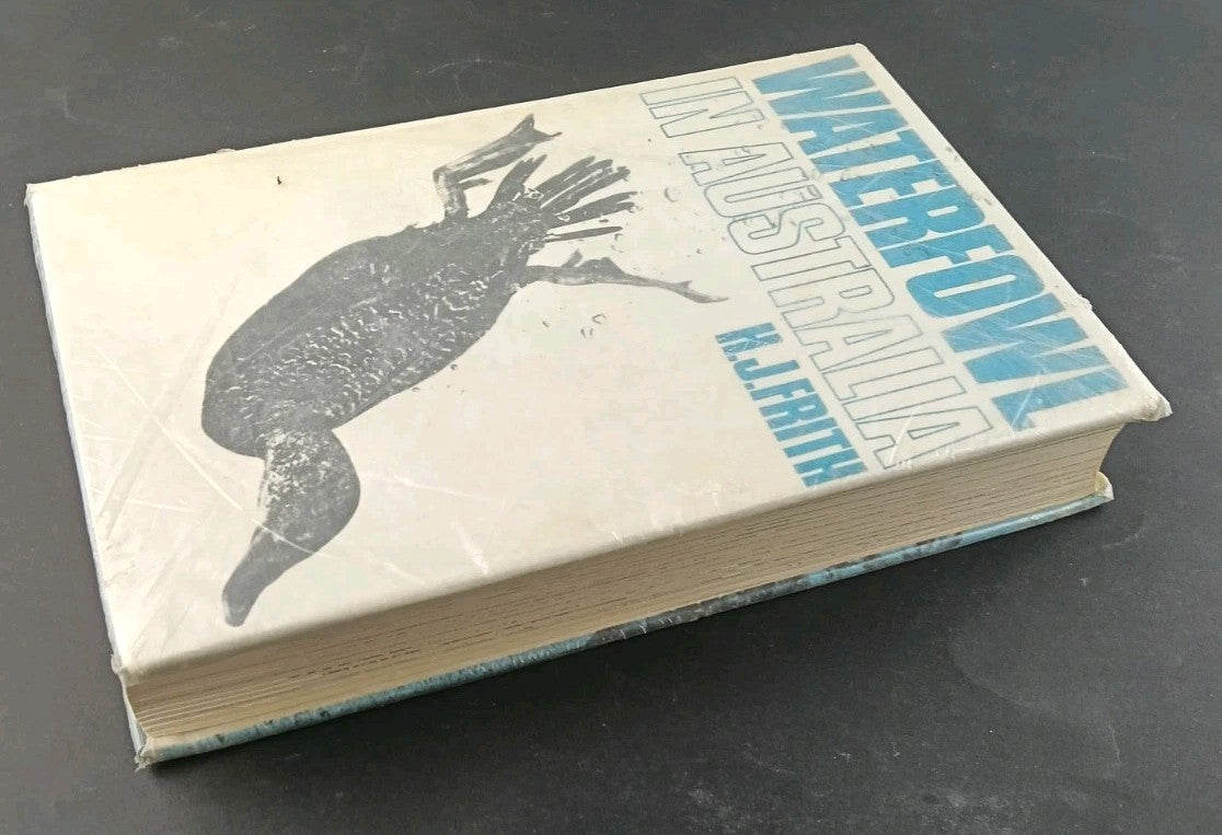 8082256