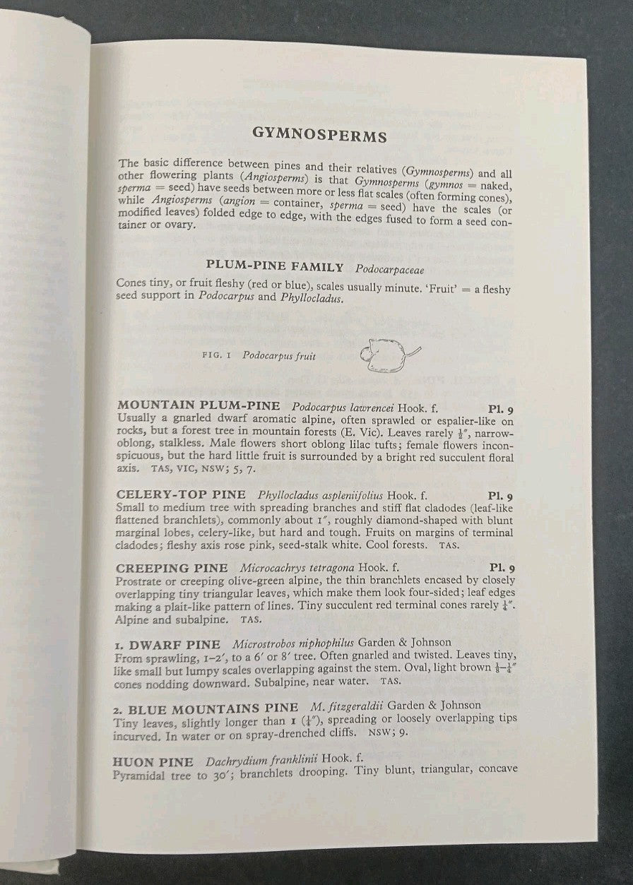 8080478