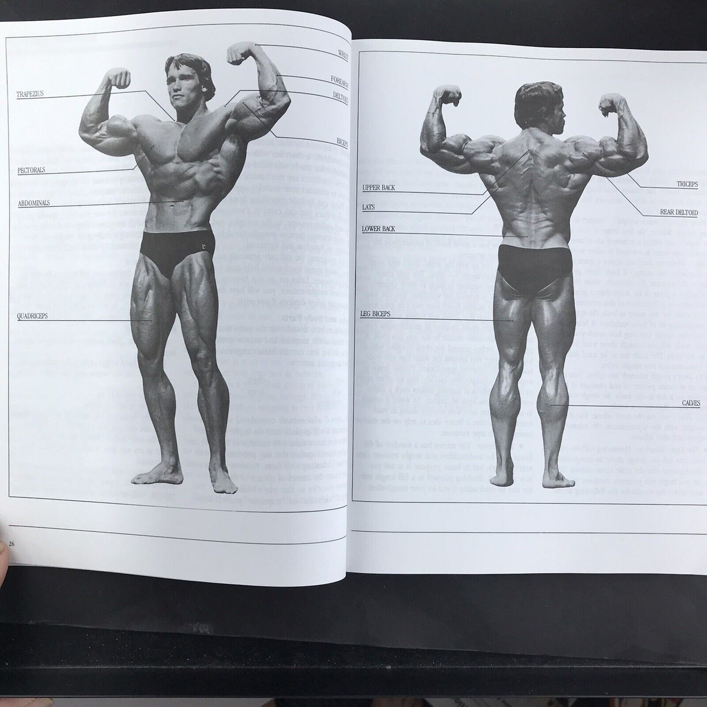 Arnold's Bodybuilding for Men By Arnold Schwarzenegger (Fireside Edition 1984)