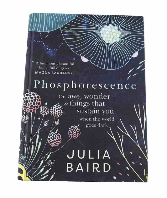 Phosphorescence: On awe, wonder and things that sustain you when the world goes