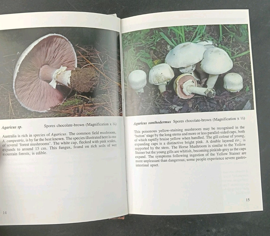 8080480