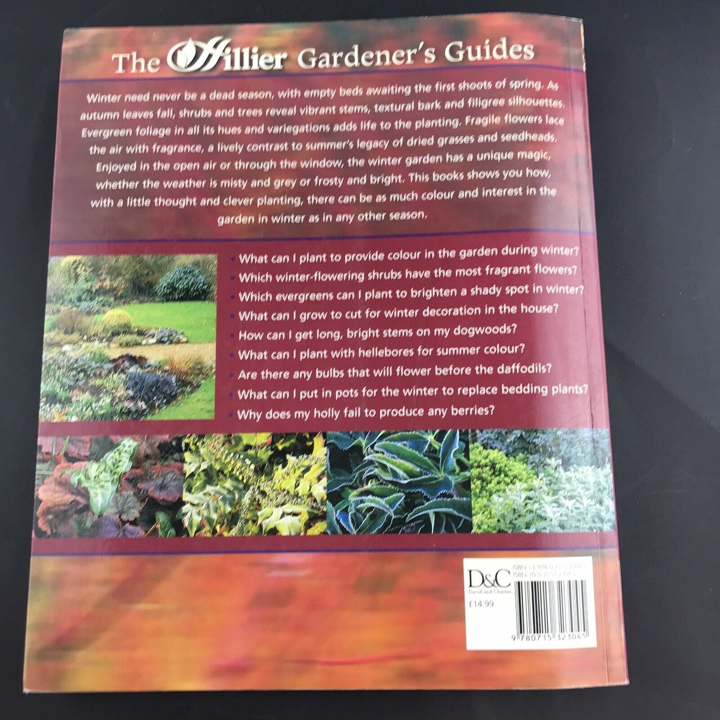 The Winter Garden (Hillier Gardener's Guide) By Jane Sterndale-B