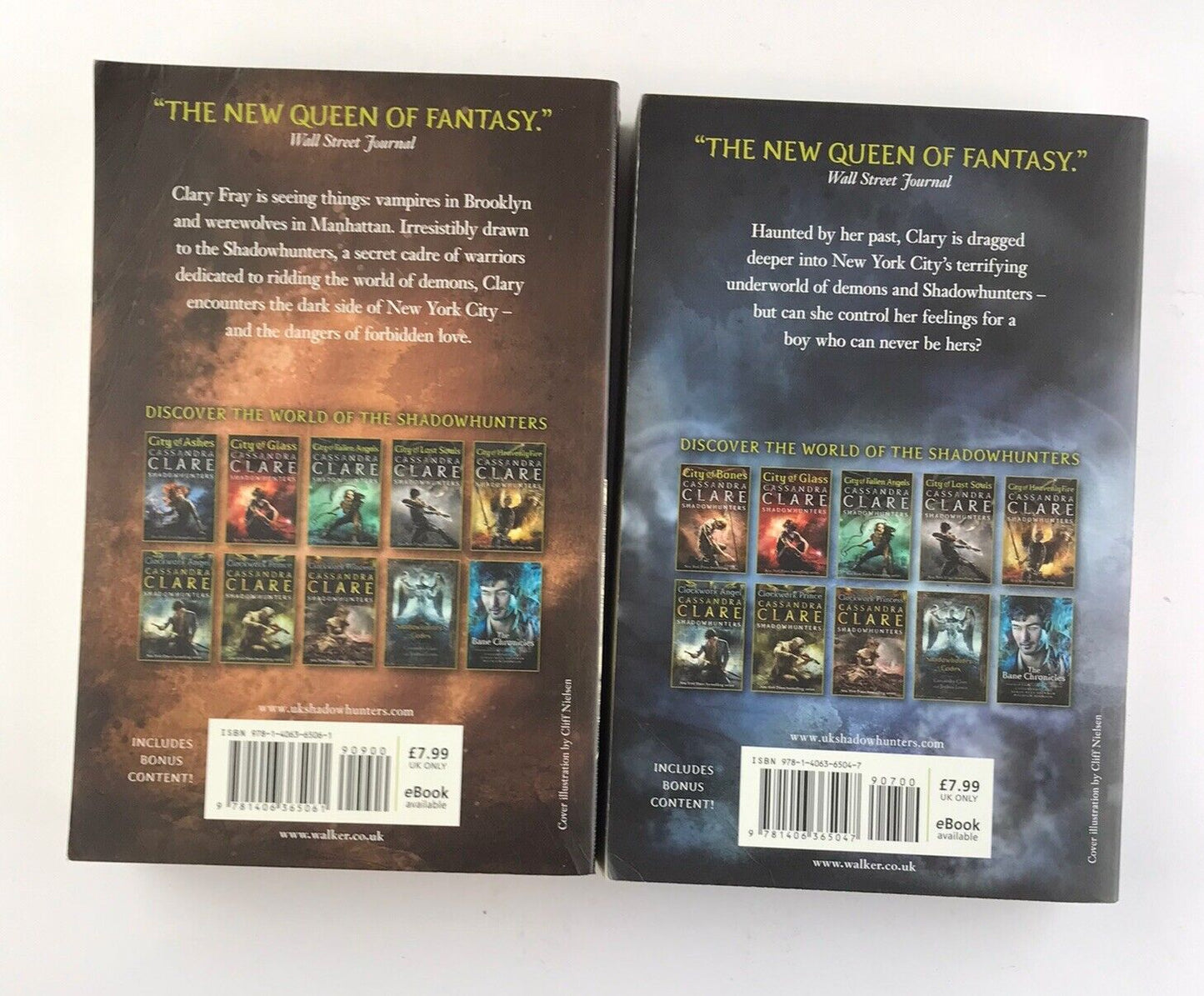 City of Bones + City of Ashes by Cassandra Clare Mortal Instruments Books 1 & 2